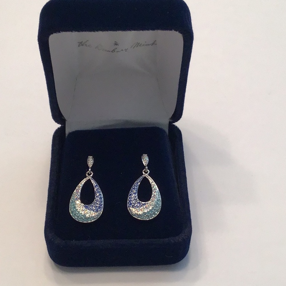 Pair of Dangle Pierced Earrings